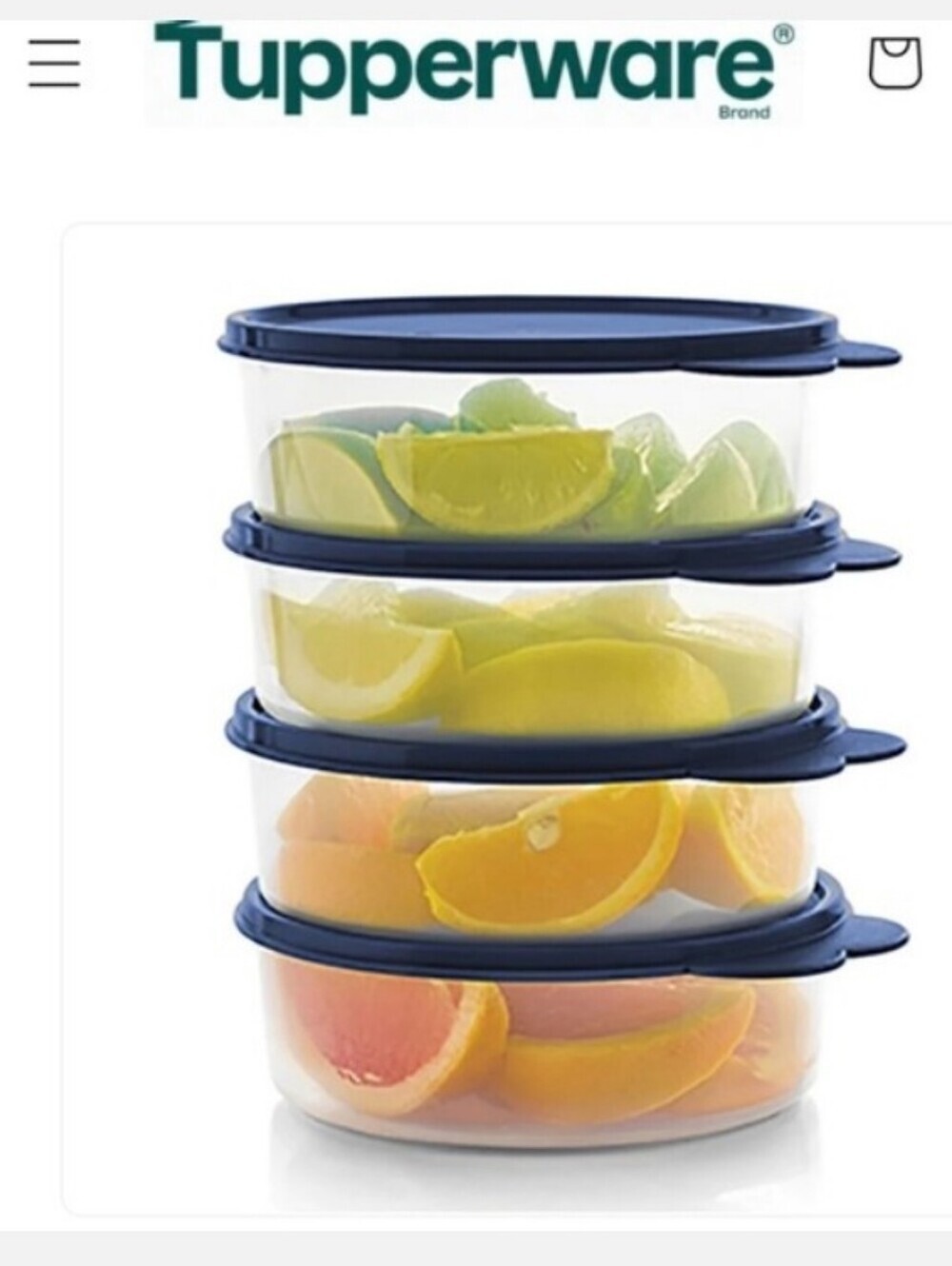 Tupperware Big Wonders Bowls For Cereal Salad Ice Cream Clear Blue